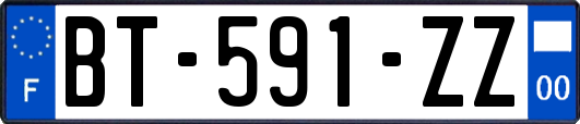 BT-591-ZZ