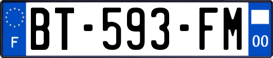 BT-593-FM