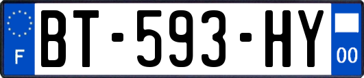 BT-593-HY