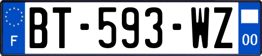 BT-593-WZ