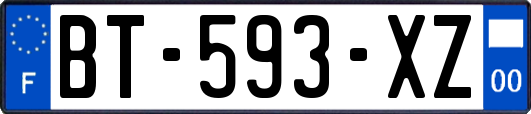 BT-593-XZ