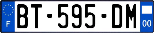 BT-595-DM