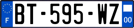 BT-595-WZ