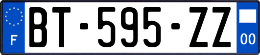 BT-595-ZZ