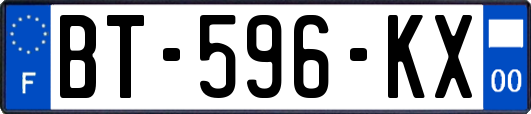 BT-596-KX