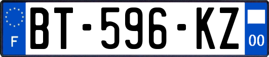 BT-596-KZ