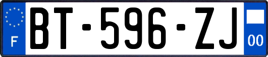 BT-596-ZJ