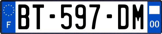 BT-597-DM