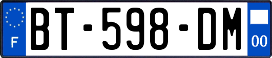 BT-598-DM