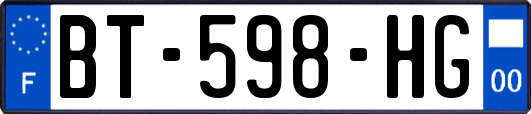 BT-598-HG