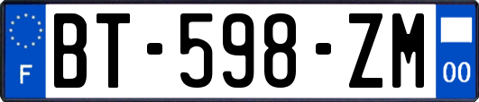 BT-598-ZM