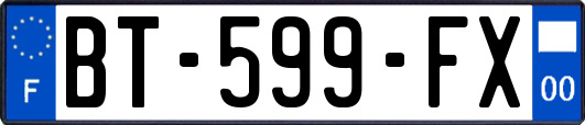 BT-599-FX