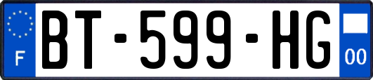 BT-599-HG