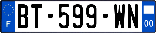 BT-599-WN