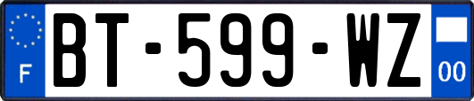 BT-599-WZ