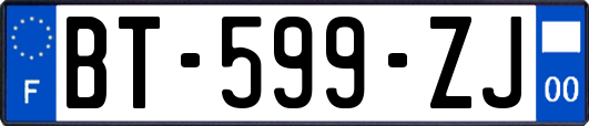 BT-599-ZJ