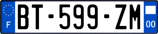 BT-599-ZM