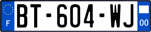 BT-604-WJ