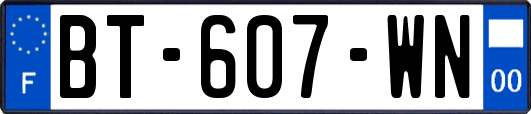 BT-607-WN