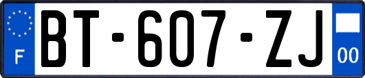 BT-607-ZJ