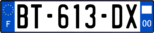 BT-613-DX