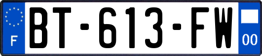 BT-613-FW