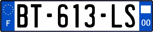 BT-613-LS