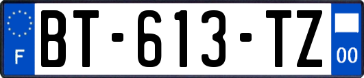 BT-613-TZ