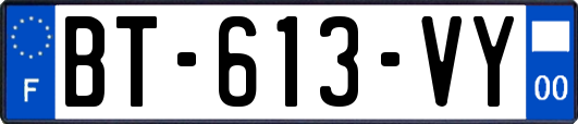 BT-613-VY