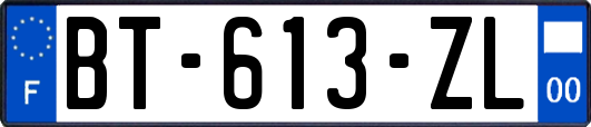 BT-613-ZL