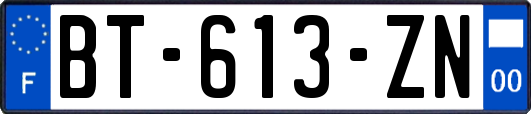 BT-613-ZN