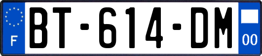 BT-614-DM