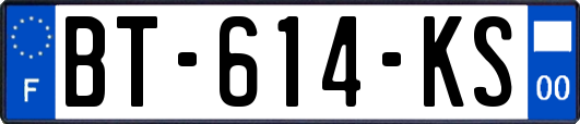 BT-614-KS