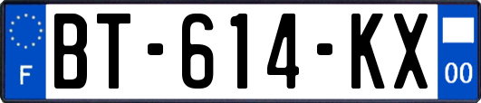 BT-614-KX