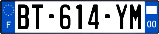 BT-614-YM