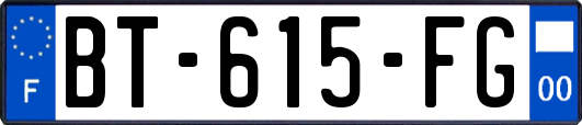 BT-615-FG