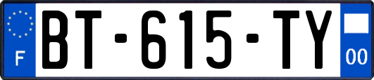 BT-615-TY