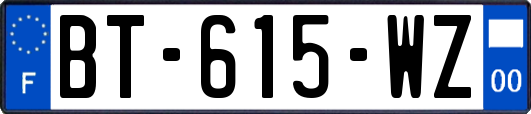 BT-615-WZ