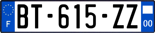 BT-615-ZZ
