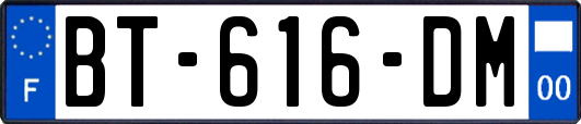 BT-616-DM