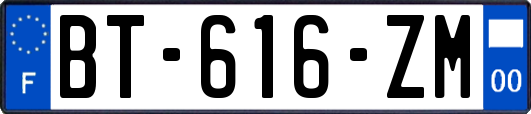 BT-616-ZM