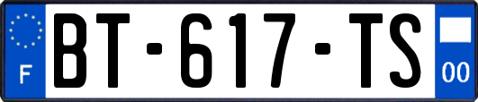 BT-617-TS