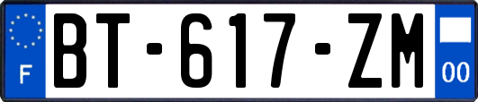 BT-617-ZM