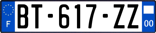 BT-617-ZZ