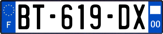 BT-619-DX