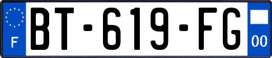 BT-619-FG