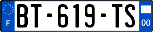 BT-619-TS