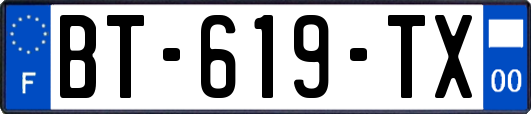 BT-619-TX