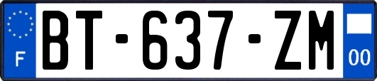 BT-637-ZM