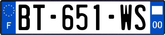 BT-651-WS